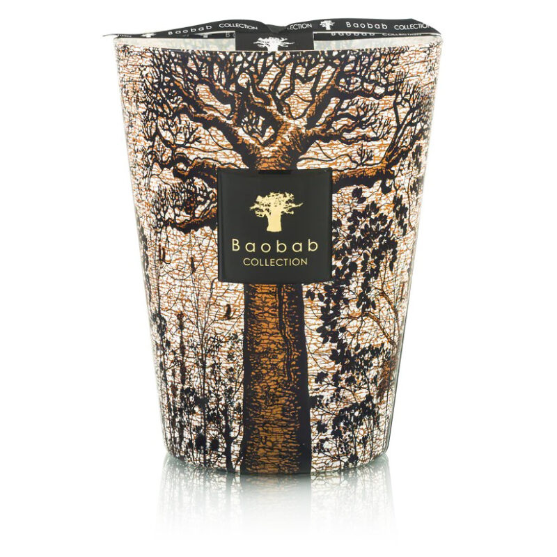 Bougie Baobab - Sacred Trees - Morondo