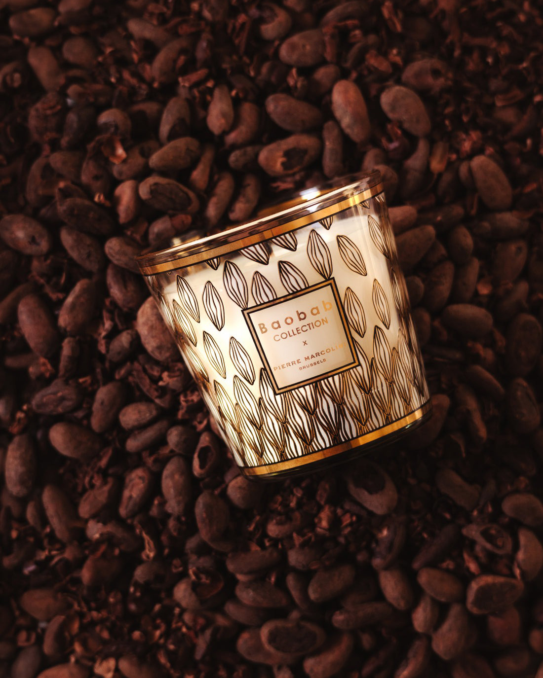 Bougie Baobab - My first Baobab - Pierre Marcolini Pérou