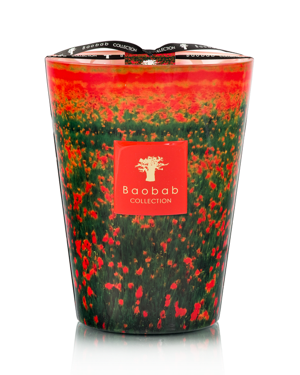 Bougie Baobab - Arty Flowers Poppies