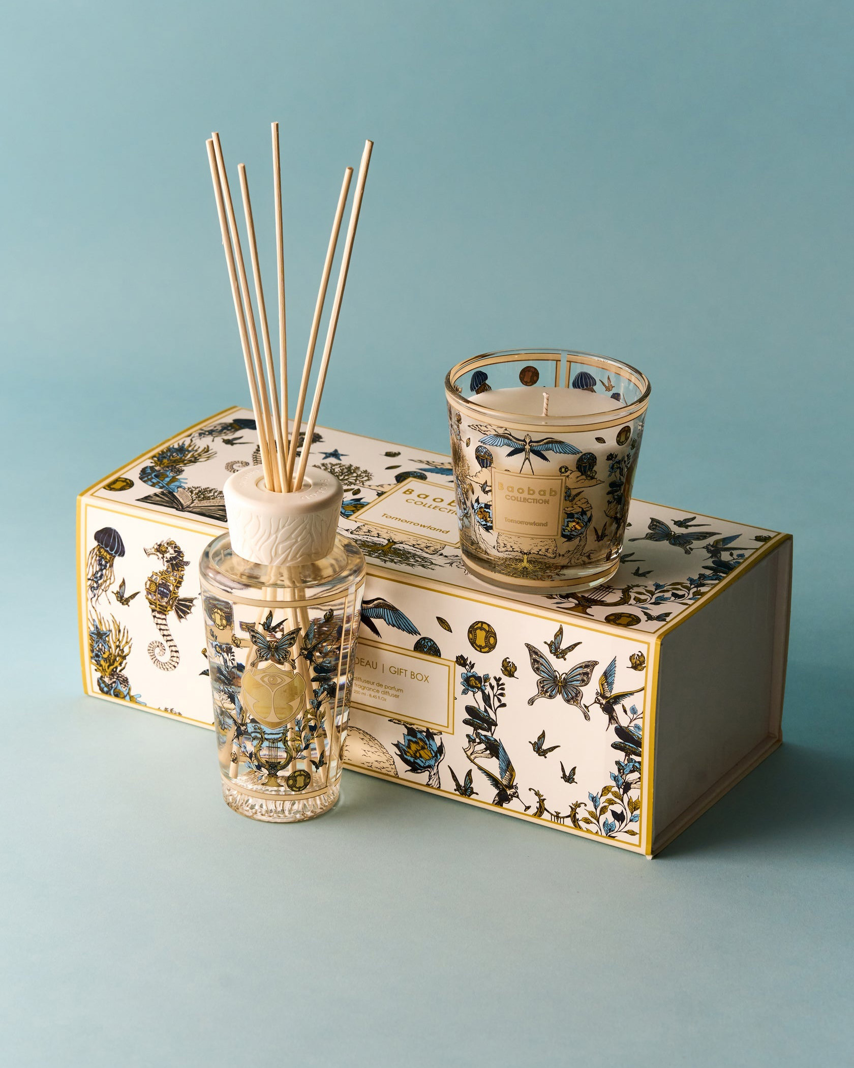 Bougie Baobab - My First Baobab Tomorrowland 2026